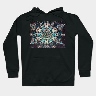 Fractal  4 Hoodie